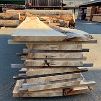 楠（クス）　NO.536