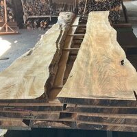 山桜（ヤマザクラ）　NO.6300-1