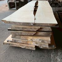 銀杏（イチョウ）　NO.4286