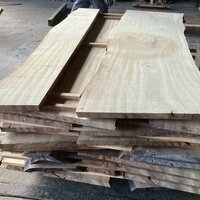 楠（クス）　NO.140