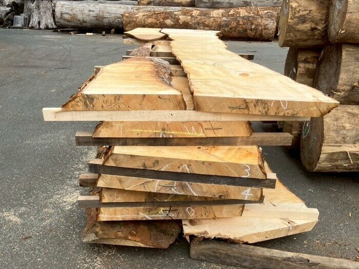 栃（トチ）　無垢材