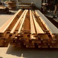 杉（スギ）　NO.4447