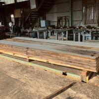 檜（ヒノキ）　NO.1603