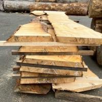 栃（トチ）　NO.28