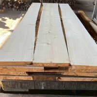 檜（ヒノキ）　NO.5023