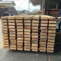 米檜葉（ベイヒバ）　NO.340