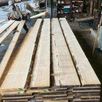 スプルース　NO.2008-2_2