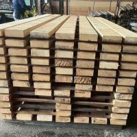 米檜葉（ベイヒバ）　NO.221