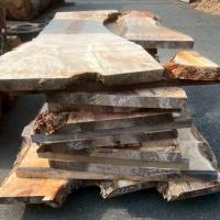 栃（トチ）　NO.272