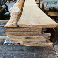 栗（クリ）　NO.4376