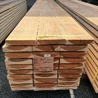 杉（スギ）　NO.178