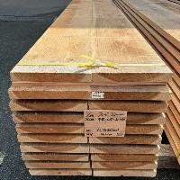 杉（スギ）　NO.99