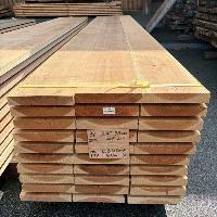 杉（スギ）　NO.179