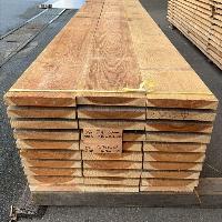 杉（スギ）　NO.288