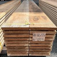 杉（スギ）　NO.100