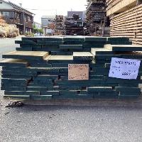 イエローポプラ　NO.4987