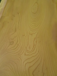 欅（ケヤキ）　一枚板