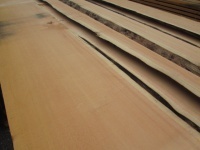 建具材　スプルース