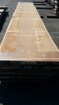 アサメラ　カウンター