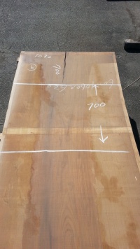 アサメラ　カウンター