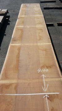 アサメラ　カウンター