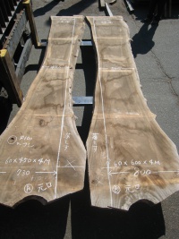 楠（クス）　一枚板