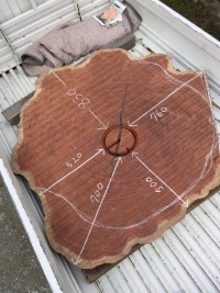 ブビンガ　一枚板