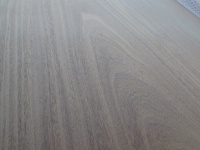 アサメラ　一枚板