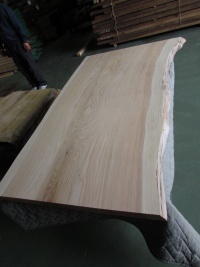 杉（スギ）　一枚板