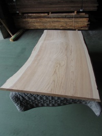 杉（スギ）　一枚板