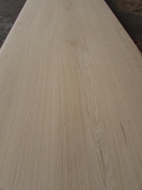 楢（ナラ）　一枚板