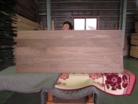 ウォールナット　天板