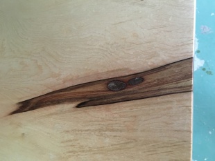 栃（トチ）　一枚板