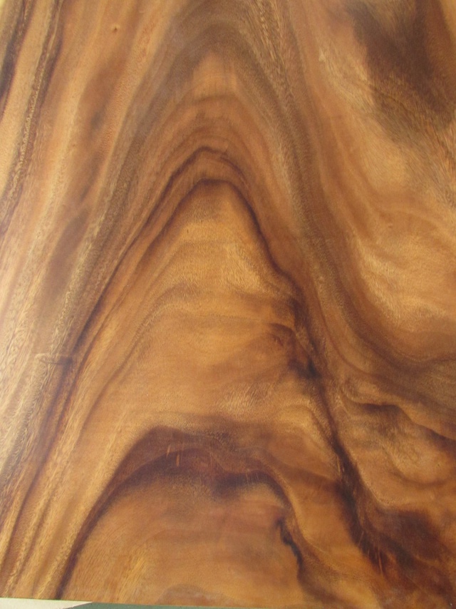 モンキーポッド　一枚板