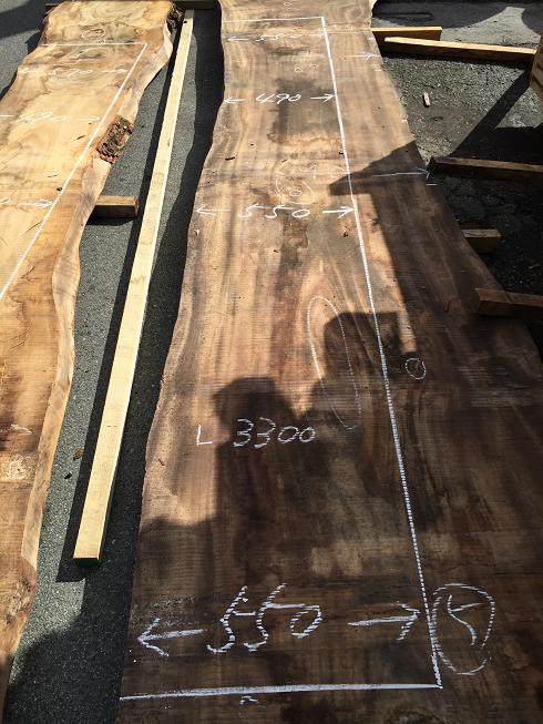 楠（クス）　一枚板