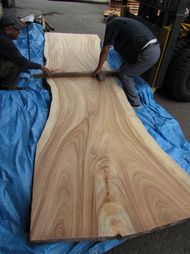 楠（クス）　一枚板