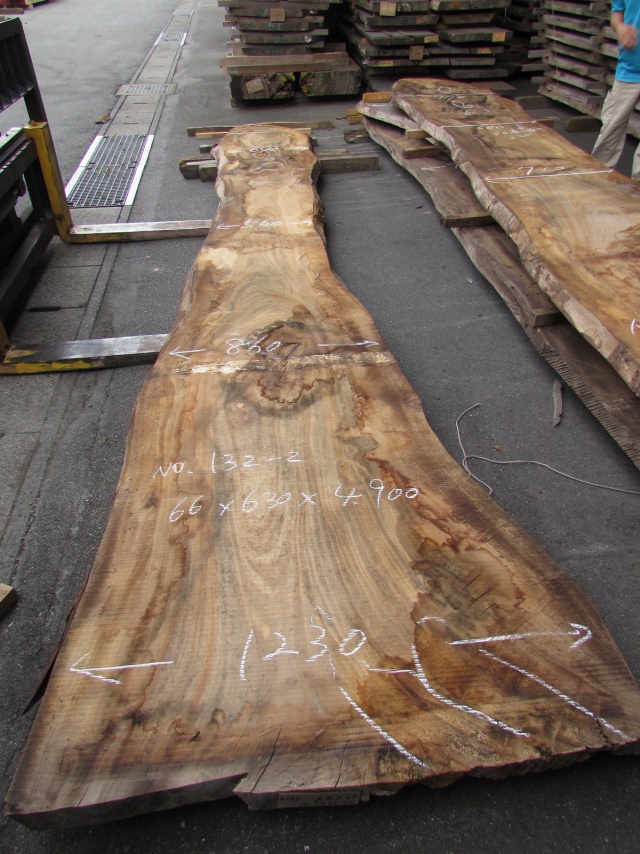 楠（クス）　一枚板