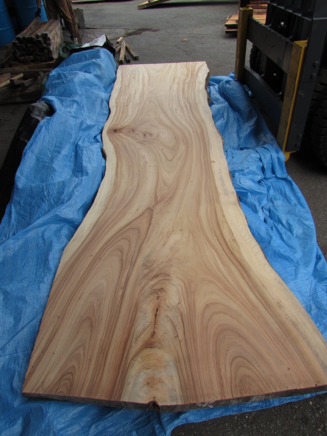 楠（クス）　一枚板