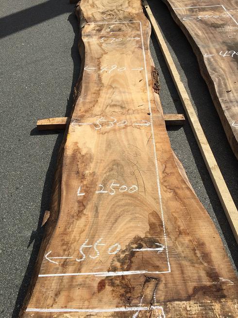 楠（クス）　一枚板