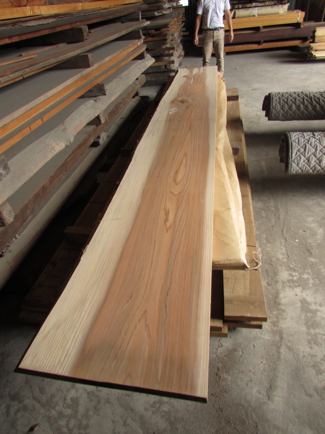 杉（スギ）　一枚板