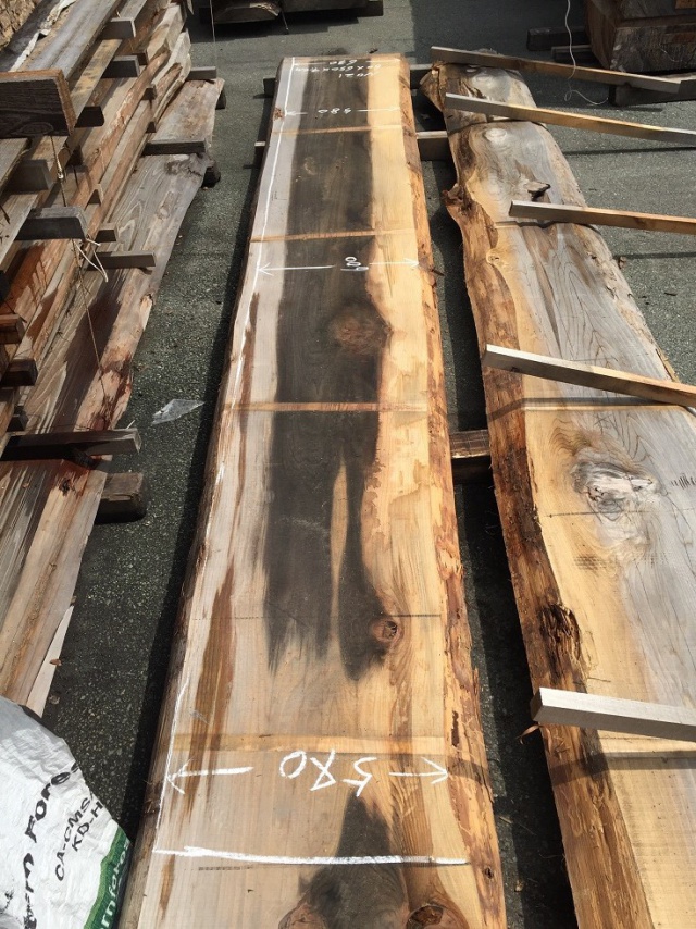 杉（スギ）　一枚板