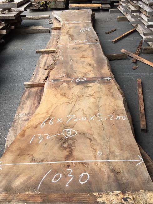 楠（クス）　一枚板