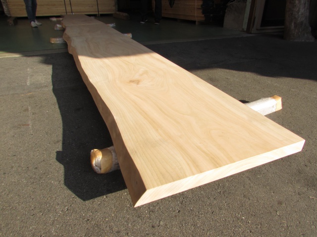 楠（クス）　一枚板