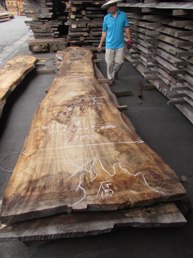 楠（クス）　一枚板