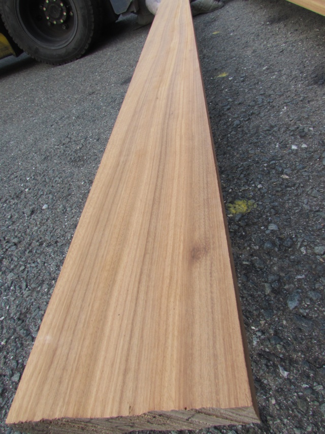 楠（クス）　一枚板