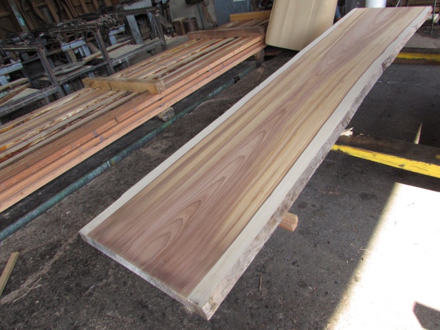 魚梁瀬杉（ヤナセスギ）　一枚板