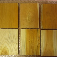 森の文庫本　象嵌用に