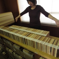 森の文庫本　木材見本用にお好きな樹種220枚