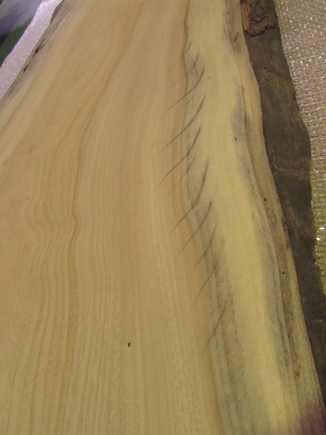 楠（クス）　一枚板