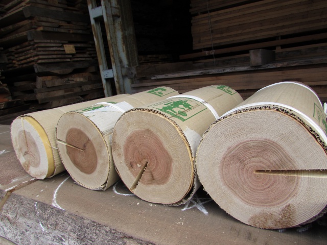 杉　丸太
